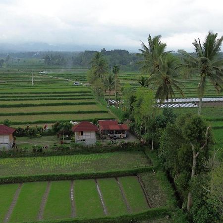New Rinjani Homestay Tetebatu Esterno foto