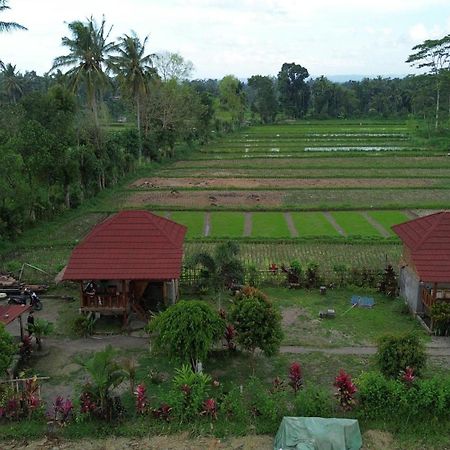 New Rinjani Homestay Tetebatu Esterno foto