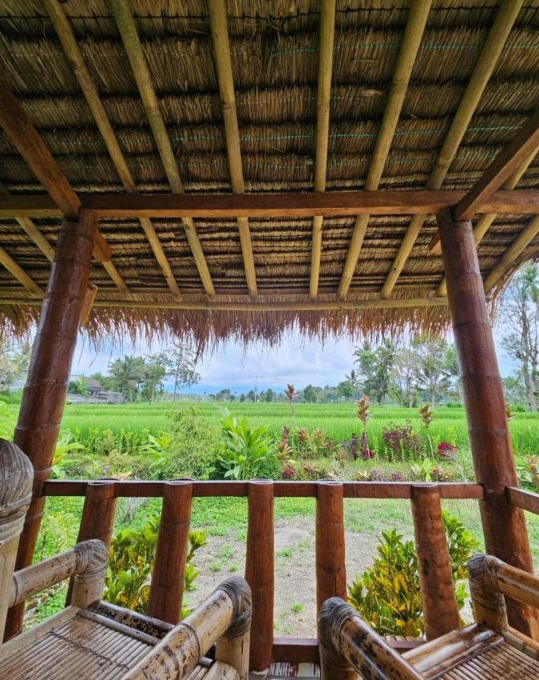 New Rinjani Homestay Tetebatu Esterno foto