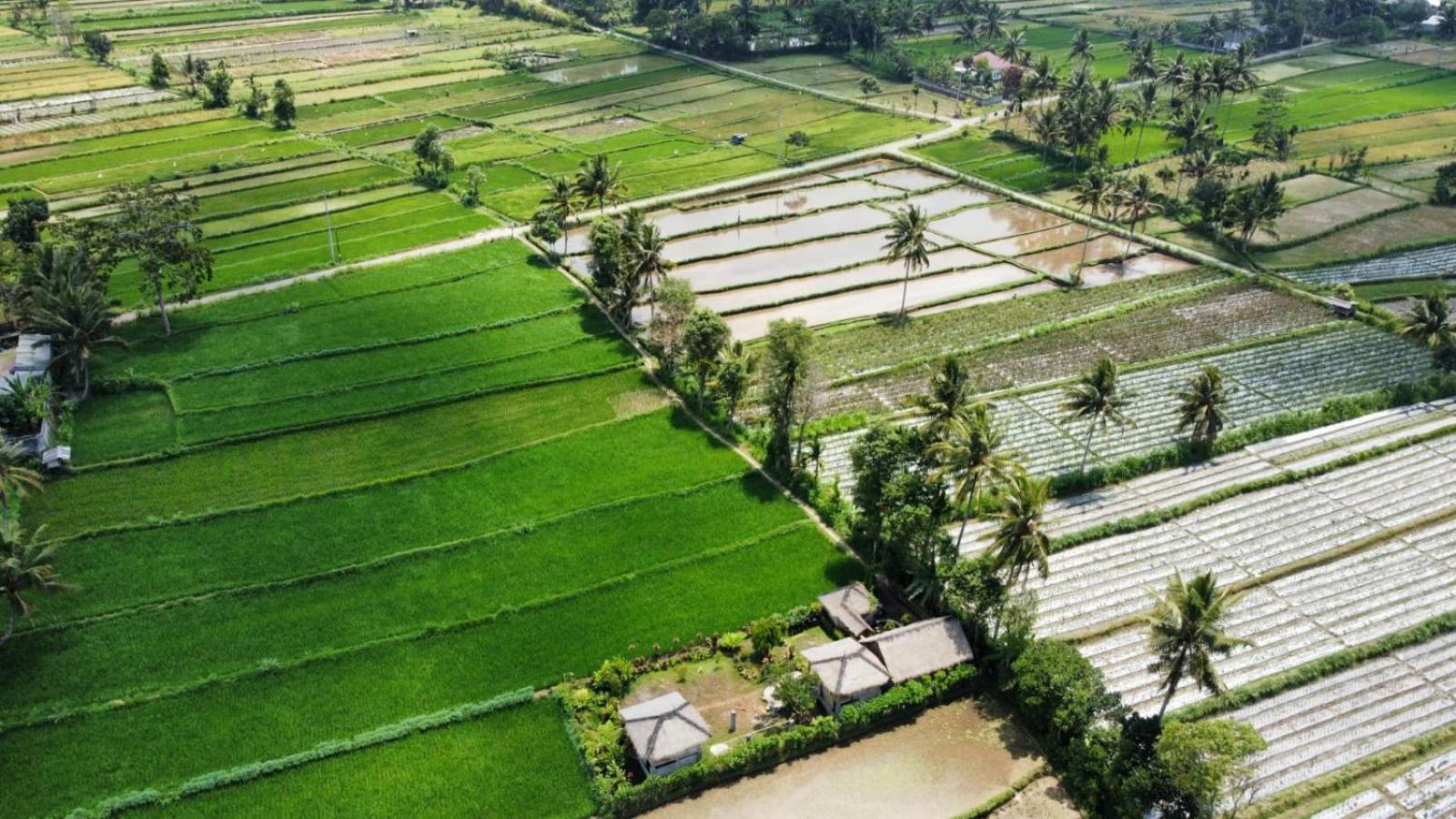 New Rinjani Homestay Tetebatu Camera foto