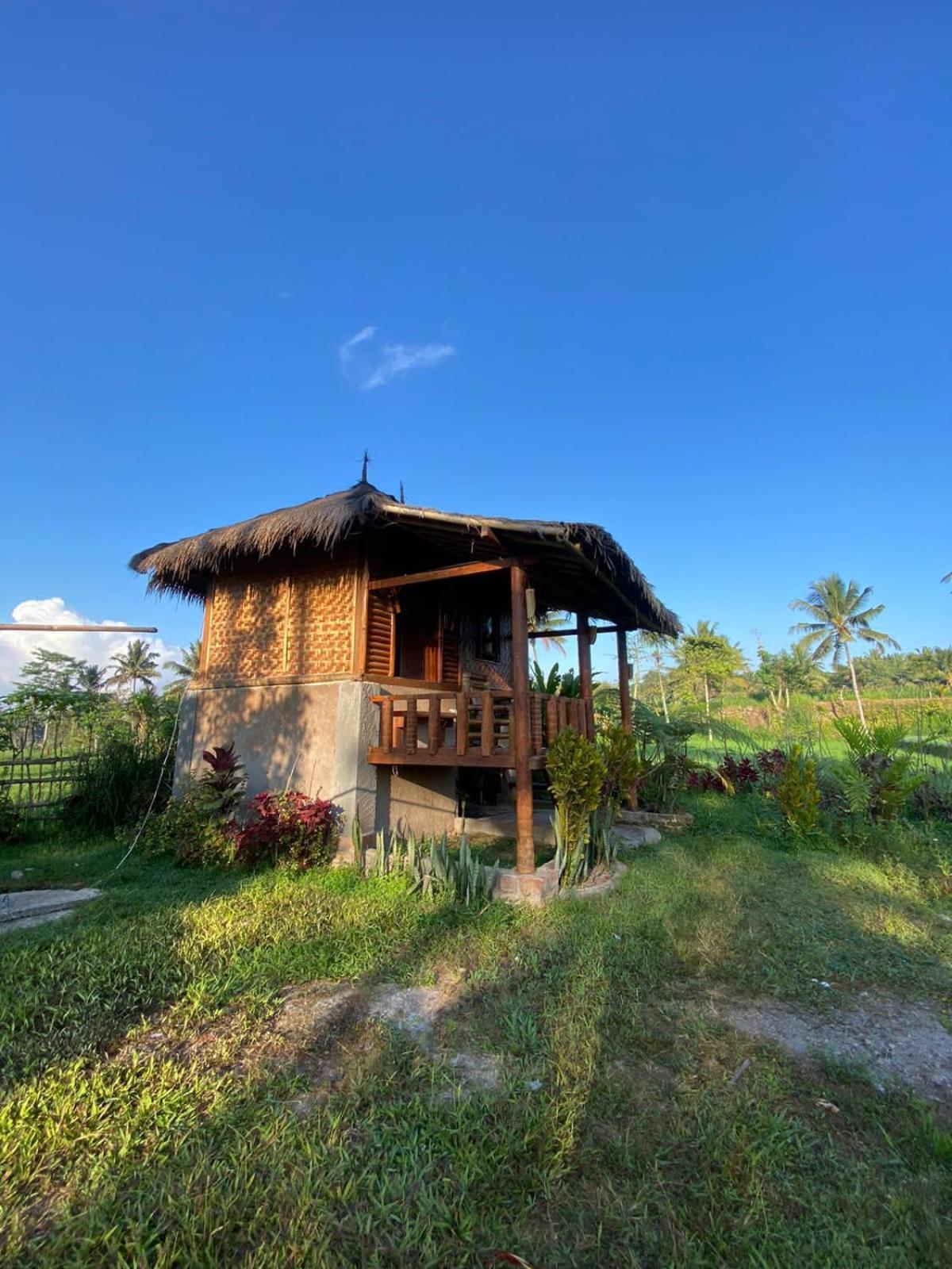 New Rinjani Homestay Tetebatu Esterno foto