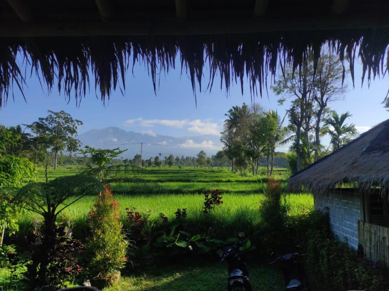 New Rinjani Homestay Tetebatu Esterno foto