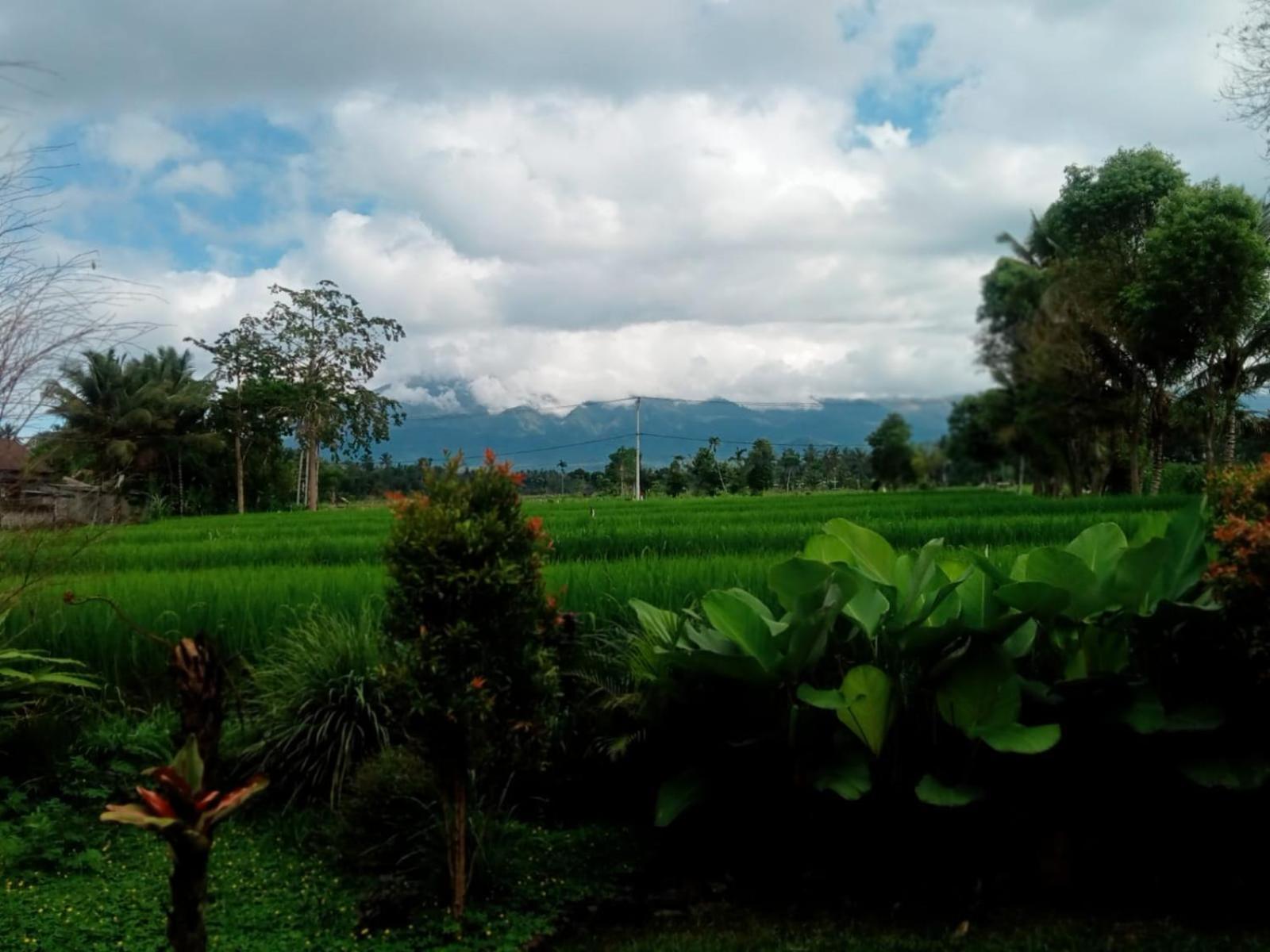 New Rinjani Homestay Tetebatu Camera foto