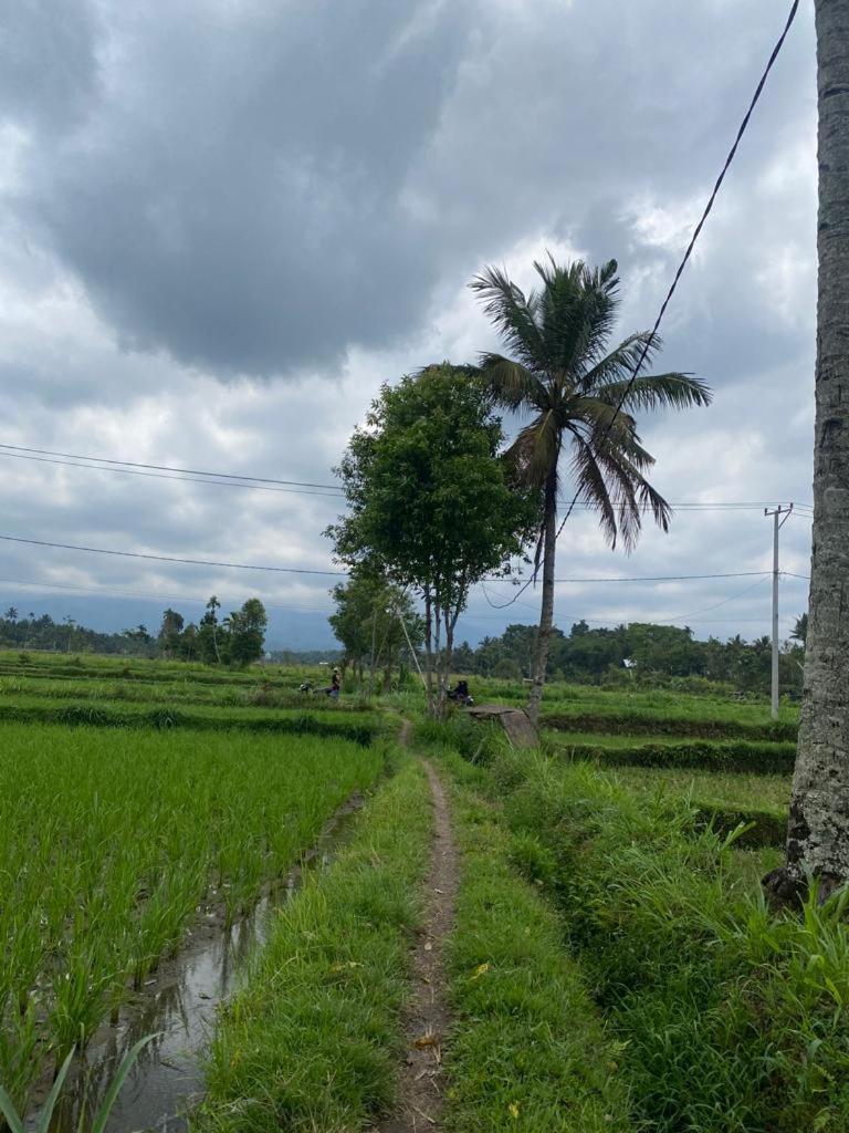 New Rinjani Homestay Tetebatu Camera foto