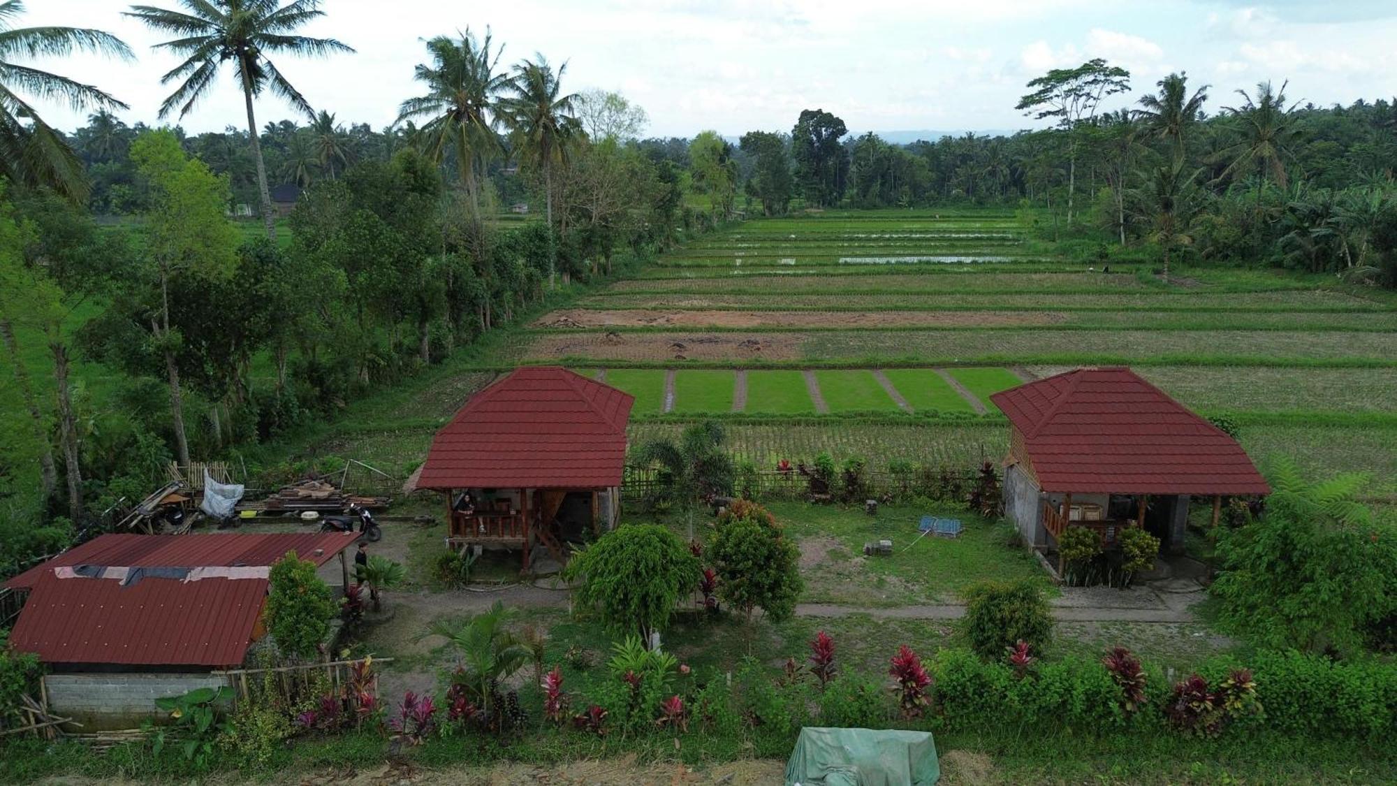 New Rinjani Homestay Tetebatu Esterno foto