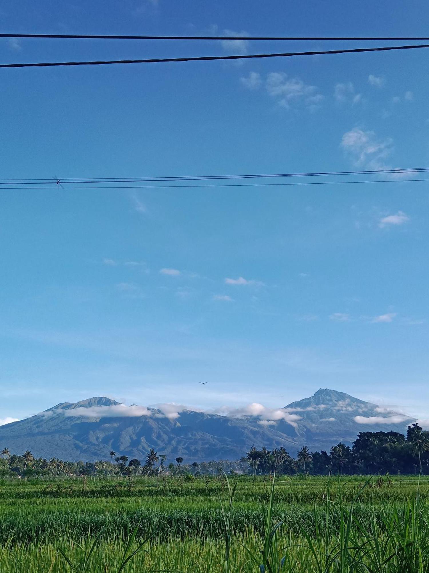 New Rinjani Homestay Tetebatu Esterno foto