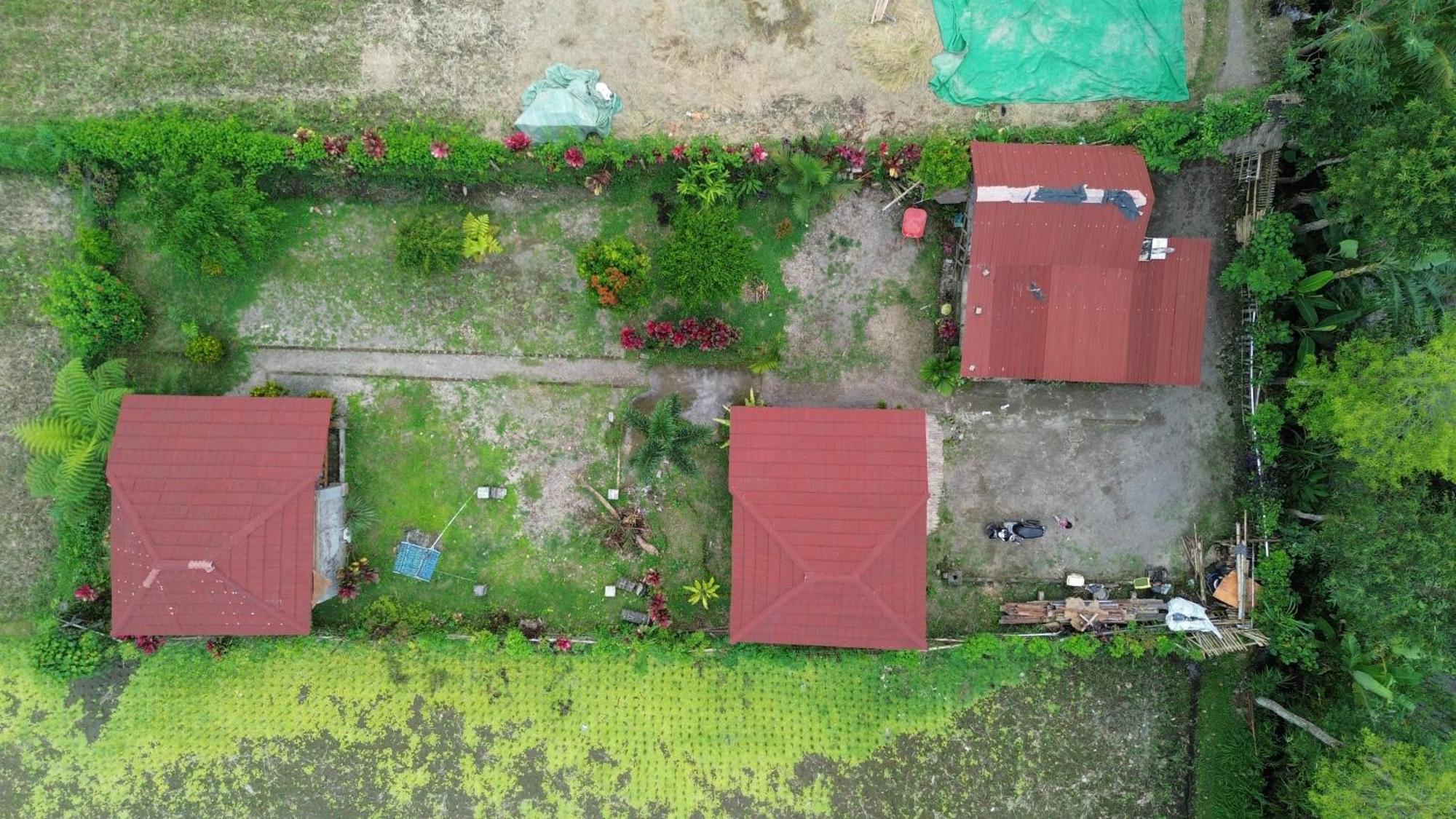 New Rinjani Homestay Tetebatu Esterno foto